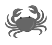 Frusento logo - strona główna